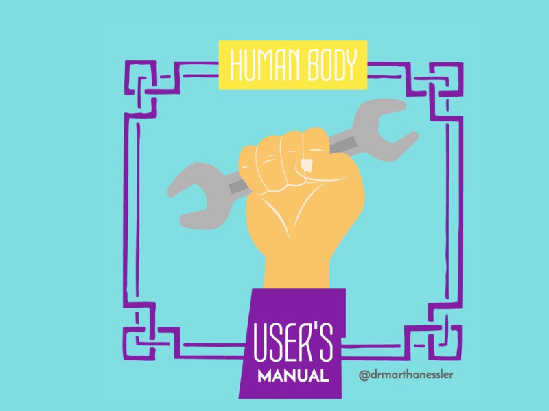 Do we need a User Manual to operate our human body?