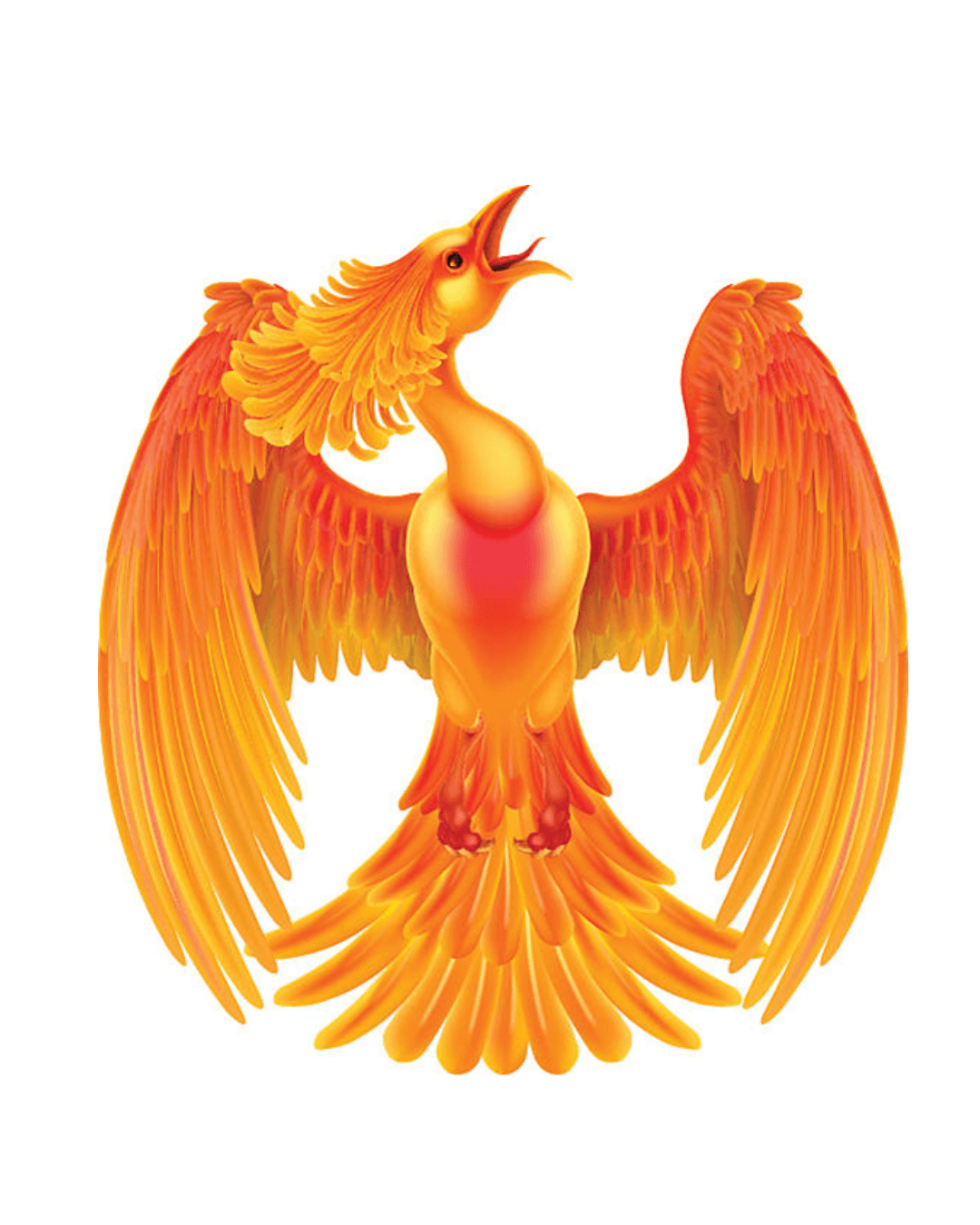 My goal is to be a Phoenix